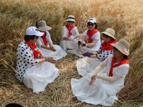 退休老人下乡去麦田拍照，祸害庄家。