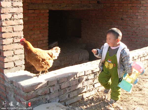 农村孩子的童年;喂鸡